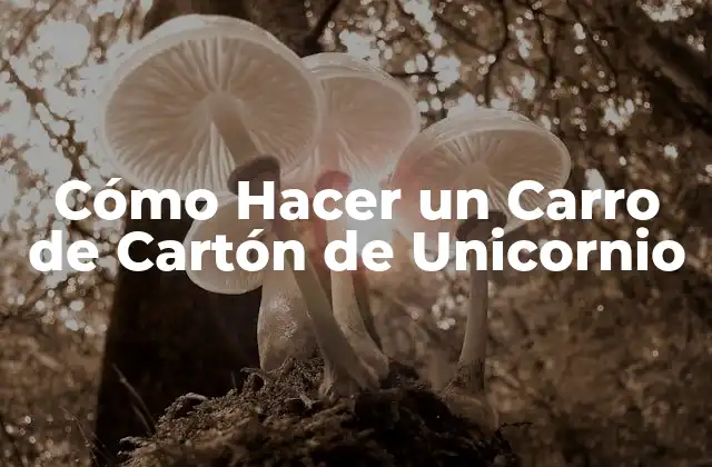 Cómo Hacer un Carro de Cartón de Unicornio