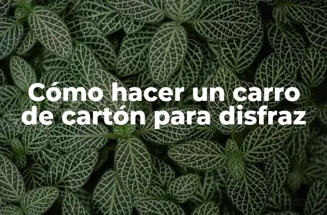 Cómo Hacer un Carro de Cartón para Disfraz