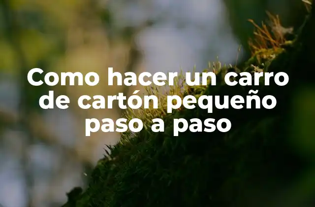 Como Hacer un Carro de Cartón Pequeño Paso a Paso