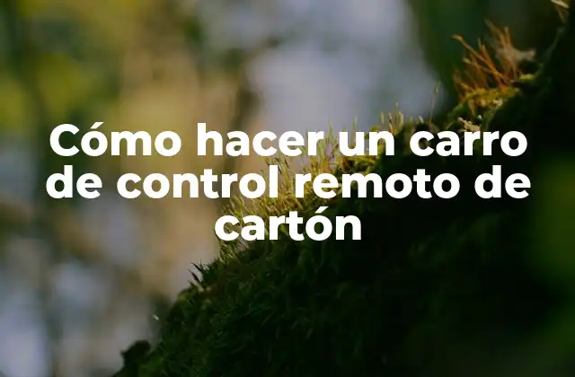 Cómo Hacer un Carro de Control Remoto de Cartón