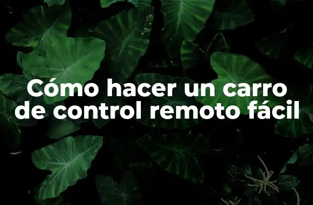 Cómo Hacer un Carro de Control Remoto Fácil 2 Cómo hacer un carro de control remoto fácil