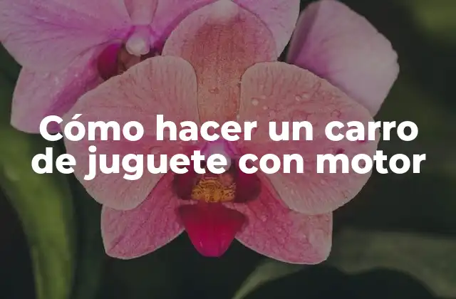 Cómo Hacer un Carro de Juguete con Motor