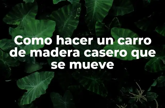 Como Hacer un Carro de Madera Casero que Se Mueve