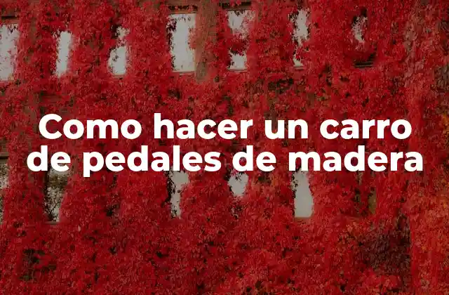 Como Hacer un Carro de Pedales de Madera 2 ¿Qué es un carro de pedales de madera?
