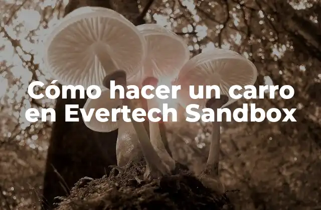 Cómo Hacer un Carro en Evertech Sandbox