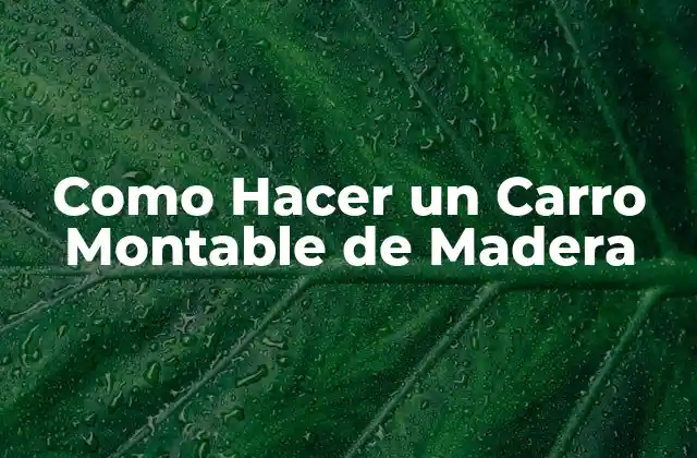 Como Hacer un Carro Montable de Madera