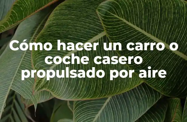 Cómo Hacer un Carro o Coche Casero Propulsado por Aire