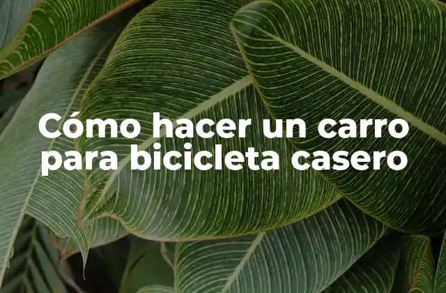 Cómo Hacer un Carro para Bicicleta Casero