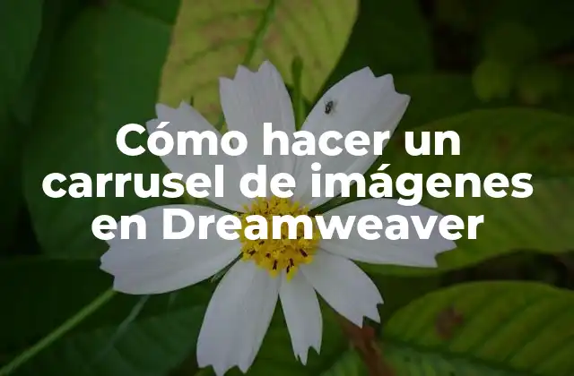 Cómo Hacer un Carrusel de Imágenes en Dreamweaver