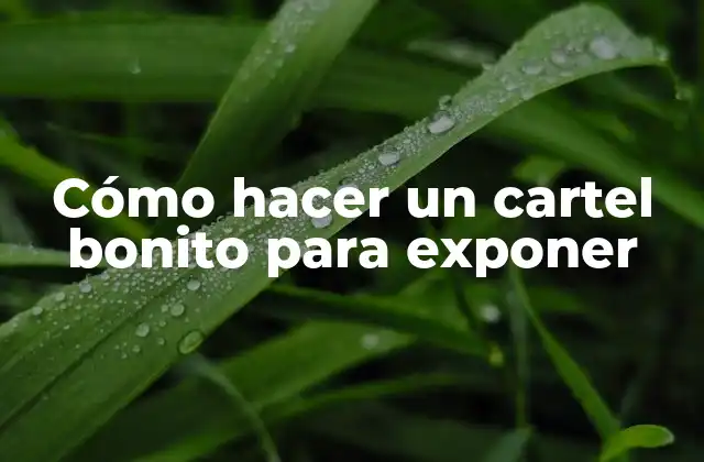 Cómo Hacer un Cartel Bonito para Exponer