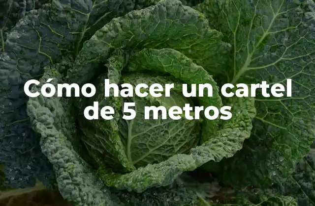 Cómo Hacer un Cartel de 5 Metros