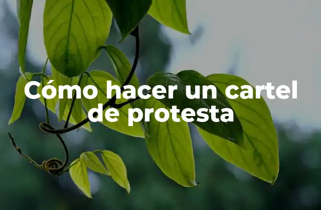 Cómo hacer un cartel de protesta