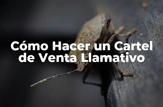 Qué es un Cartel de Venta Llamativo