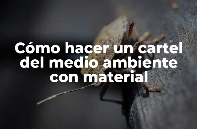 Cómo Hacer un Cartel Del Medio Ambiente con Material