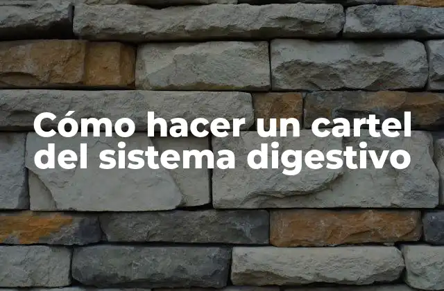 Cómo Hacer un Cartel Del Sistema Digestivo