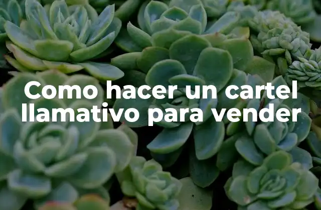 Como Hacer un Cartel Llamativo para Vender