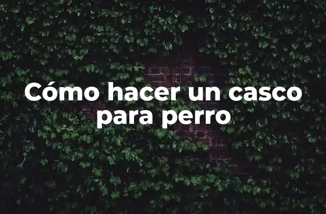 Cómo Hacer un Casco para Perro