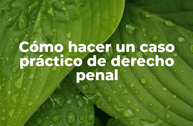 Cómo Hacer un Caso Práctico de Derecho Penal