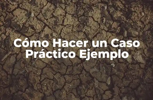 ¿Qué es un Caso Práctico Ejemplo?