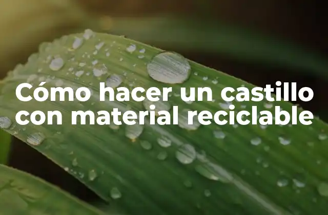 Cómo Hacer un Castillo con Material Reciclable