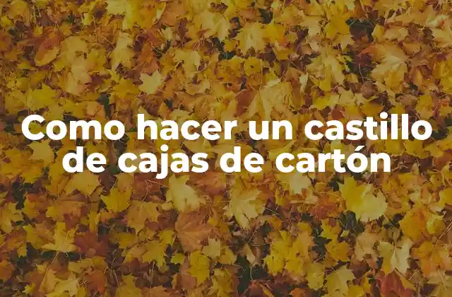 Como Hacer un Castillo de Cajas de Cartón