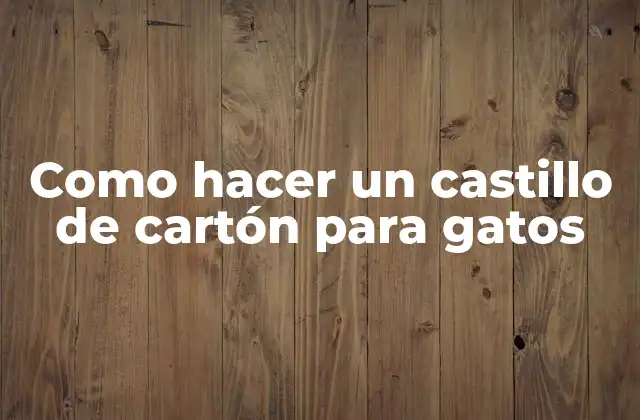 Como Hacer un Castillo de Cartón para Gatos