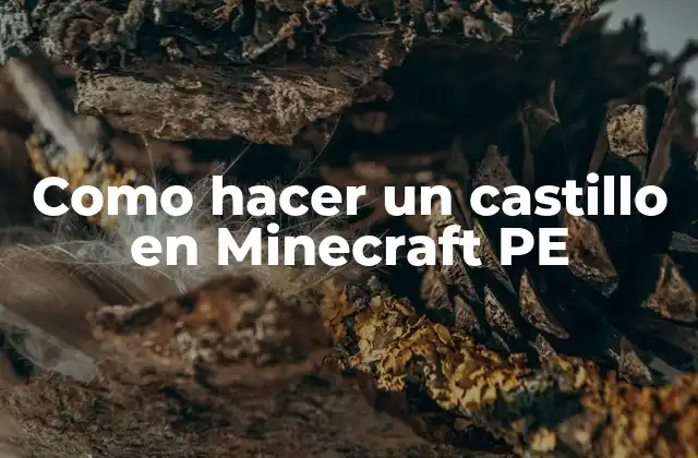 Como Hacer un Castillo en Minecraft Pe