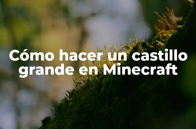 Cómo Hacer un Castillo Grande en Minecraft