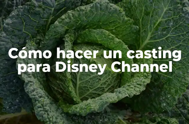Cómo Hacer un Casting para Disney Channel 2 Cómo hacer un casting para Disney Channel: ¿Qué es y para qué sirve?