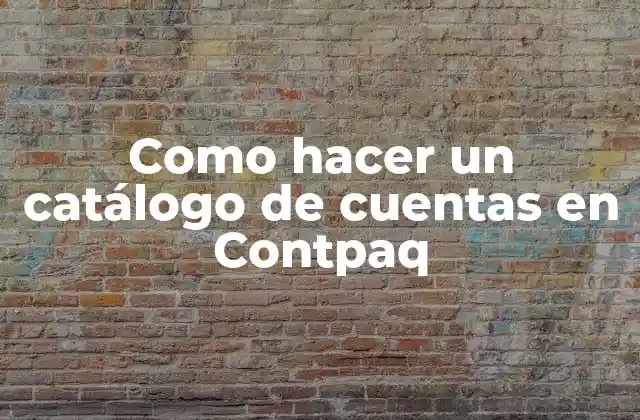 Como Hacer un Catálogo de Cuentas en Contpaq
