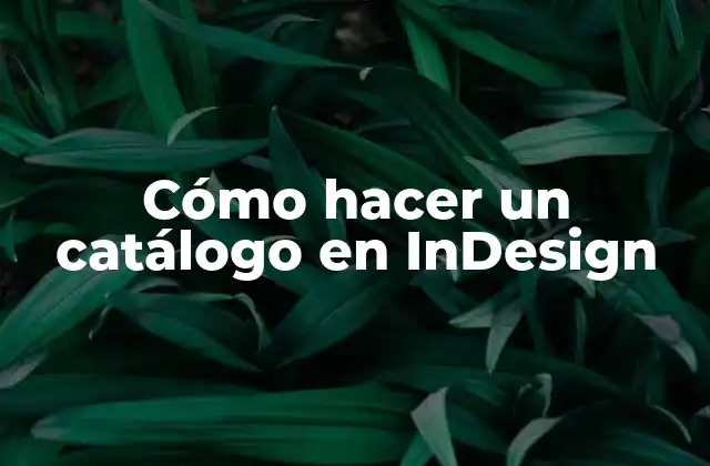 ¿Qué es InDesign y para qué sirve?