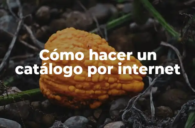 Cómo Hacer un Catálogo por Internet