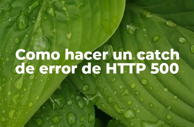 Como Hacer un Catch de Error de Http 500