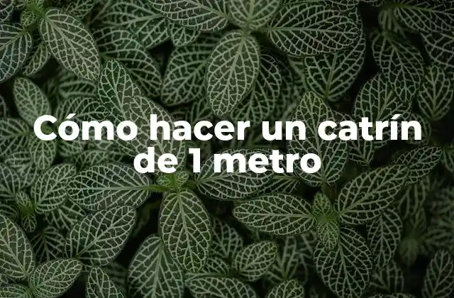 Cómo Hacer un Catrín de 1 Metro