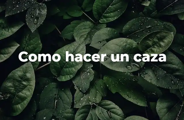 Que es un caza y para que sirve