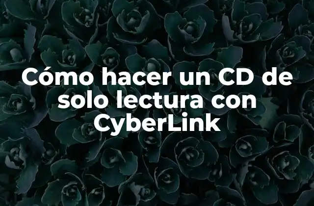 Cómo Hacer un Cd de Solo Lectura con Cyberlink