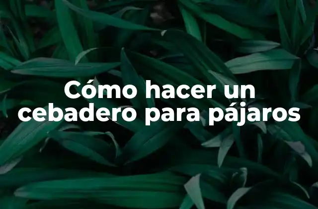 Cómo Hacer un Cebadero para Pájaros