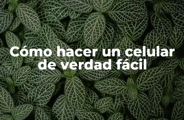 Cómo Hacer un Celular de Verdad Fácil