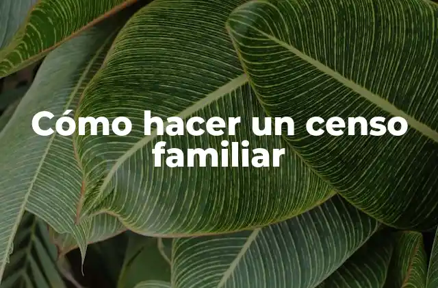 Cómo Hacer un Censo Familiar