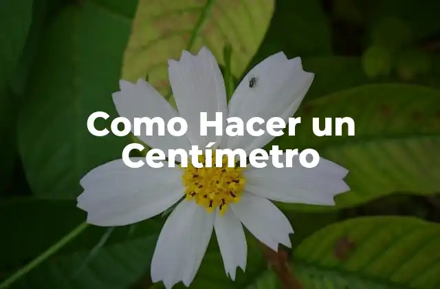 Como Hacer un Centímetro