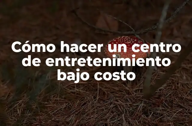 Cómo Hacer un Centro de Entretenimiento bajo Costo