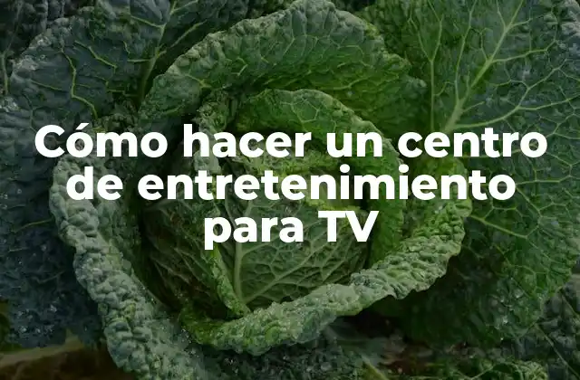 Cómo Hacer un Centro de Entretenimiento para Tv 2 Qué es un centro de entretenimiento para TV