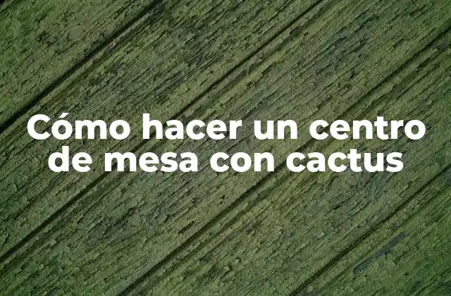 Cómo Hacer un Centro de Mesa con Cactus