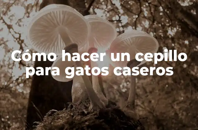 Cómo Hacer un Cepillo para Gatos Caseros