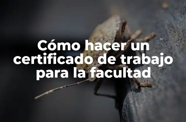 Cómo Hacer un Certificado de Trabajo para la Facultad