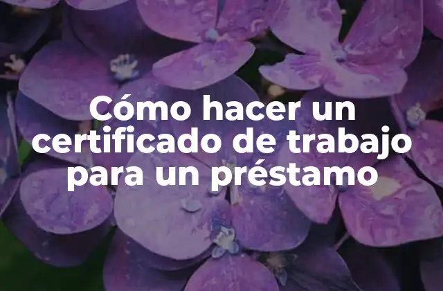 Cómo Hacer un Certificado de Trabajo para un Préstamo
