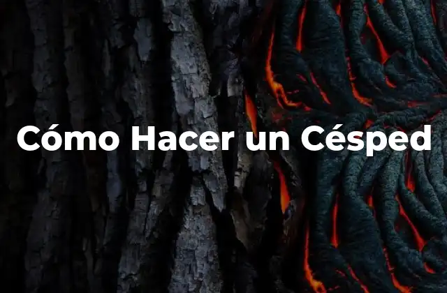 Cómo Hacer un Césped 2 ¿Qué es un Césped y para Qué Sirve?