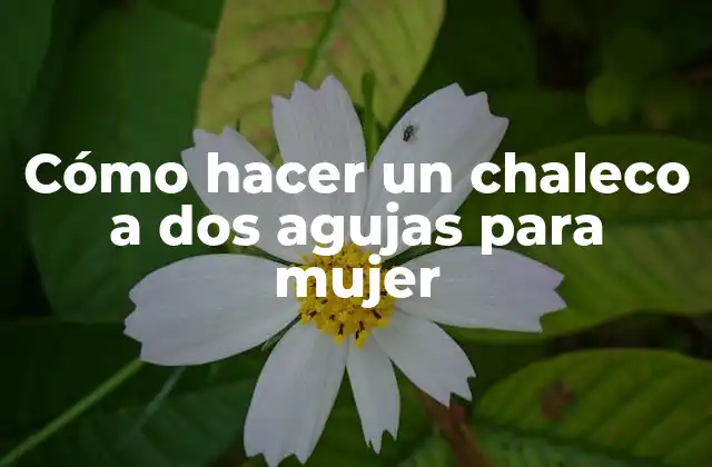 Cómo hacer un chaleco a dos agujas para mujer