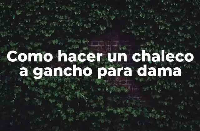 Como Hacer un Chaleco a Gancho para Dama