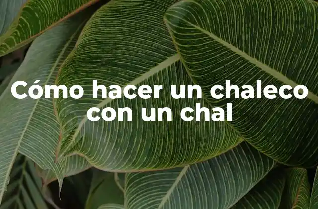 Cómo Hacer un Chaleco con un Chal